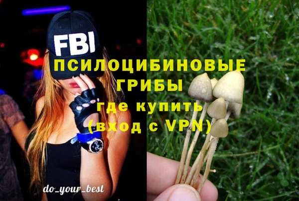 стаф Алзамай