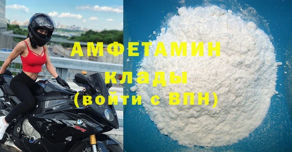 стаф Алзамай