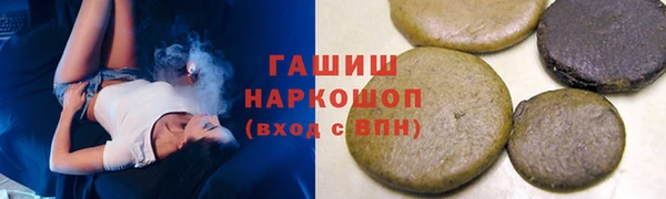 стаф Алзамай
