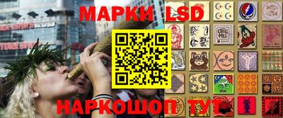 прущие грибы Ставрополь