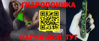 прущие грибы Ставрополь